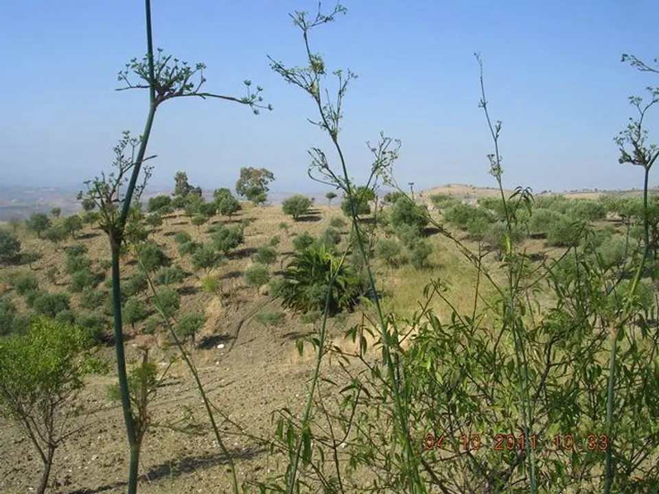 Landejendom i Cianciana, Agrigento - foto 3